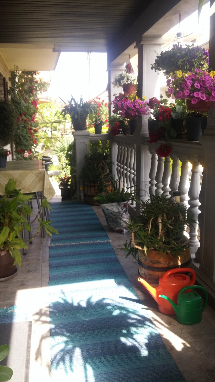 četvorosobna kuća, 560 m2, Pantelej, Krfska ID: p-04579 2