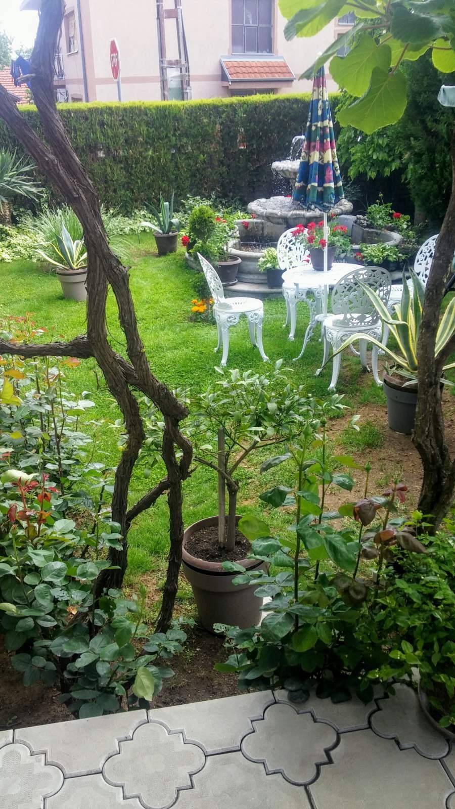 četvorosobna kuća, 560 m2, Pantelej, Krfska ID: p-04579 3