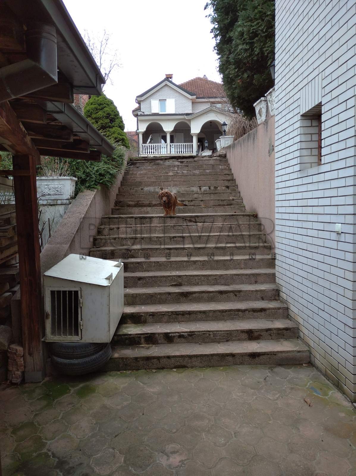 četvorosobna kuća, 561 m2, Palilula, Bubanjska ID: p-01086 47