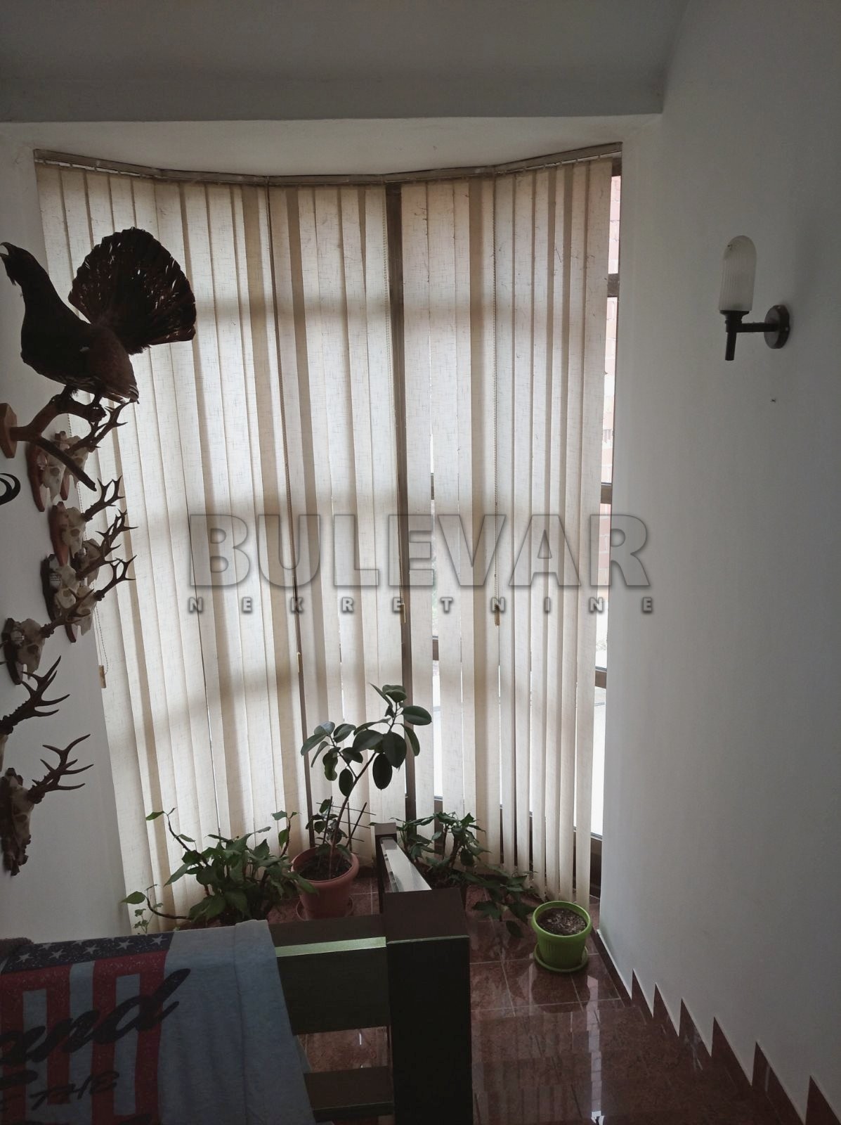 četvorosobna kuća, 561 m2, Palilula, Bubanjska ID: p-01086 12