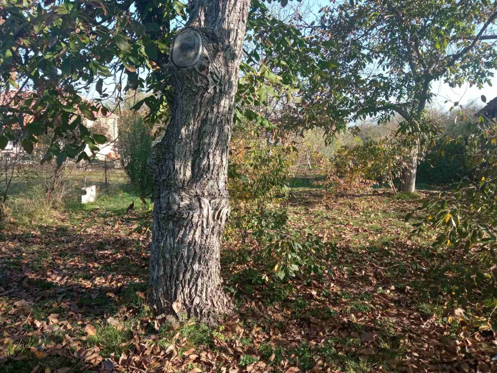 četvorosobna kuća, 58 m2, Bobovište, Bobovište ID: p-06974 5