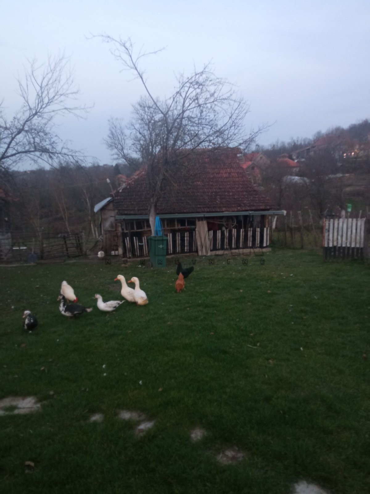 četvorosobna kuća, 65 m2, Knić, Knić ID: p-07369 6