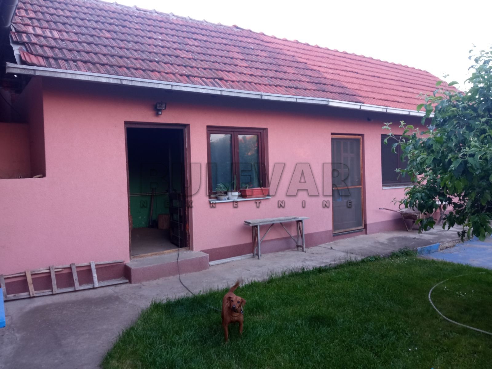 četvorosobna kuća, 680 m2, Donja Trnava, Donja Trnava ID: p-08721 4