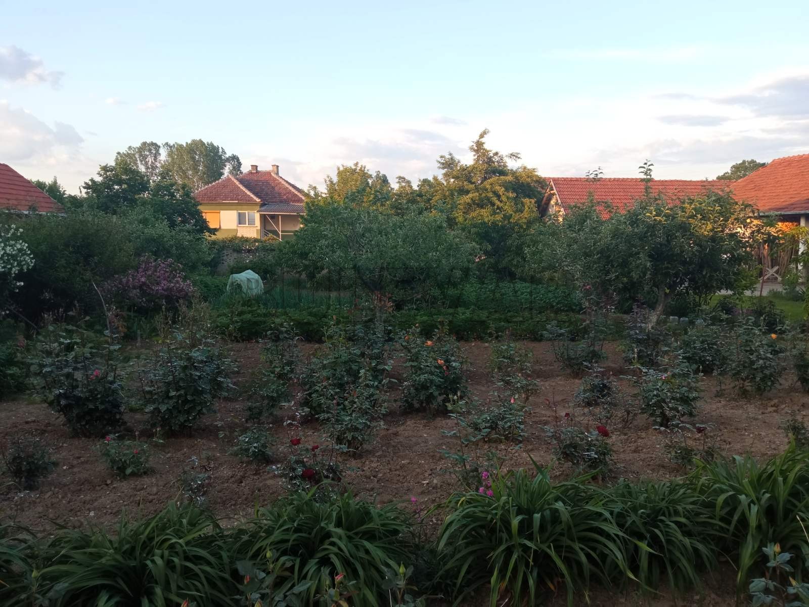 četvorosobna kuća, 680 m2, Donja Trnava, Donja Trnava ID: p-08721 19