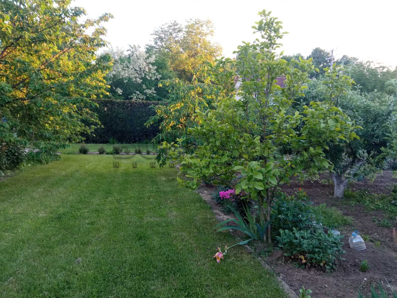 četvorosobna kuća, 680 m2, Donja Trnava, Donja Trnava ID: p-08721 10