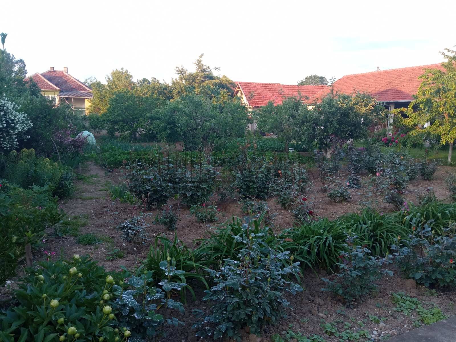 četvorosobna kuća, 680 m2, Donja Trnava, Donja Trnava ID: p-08721 11