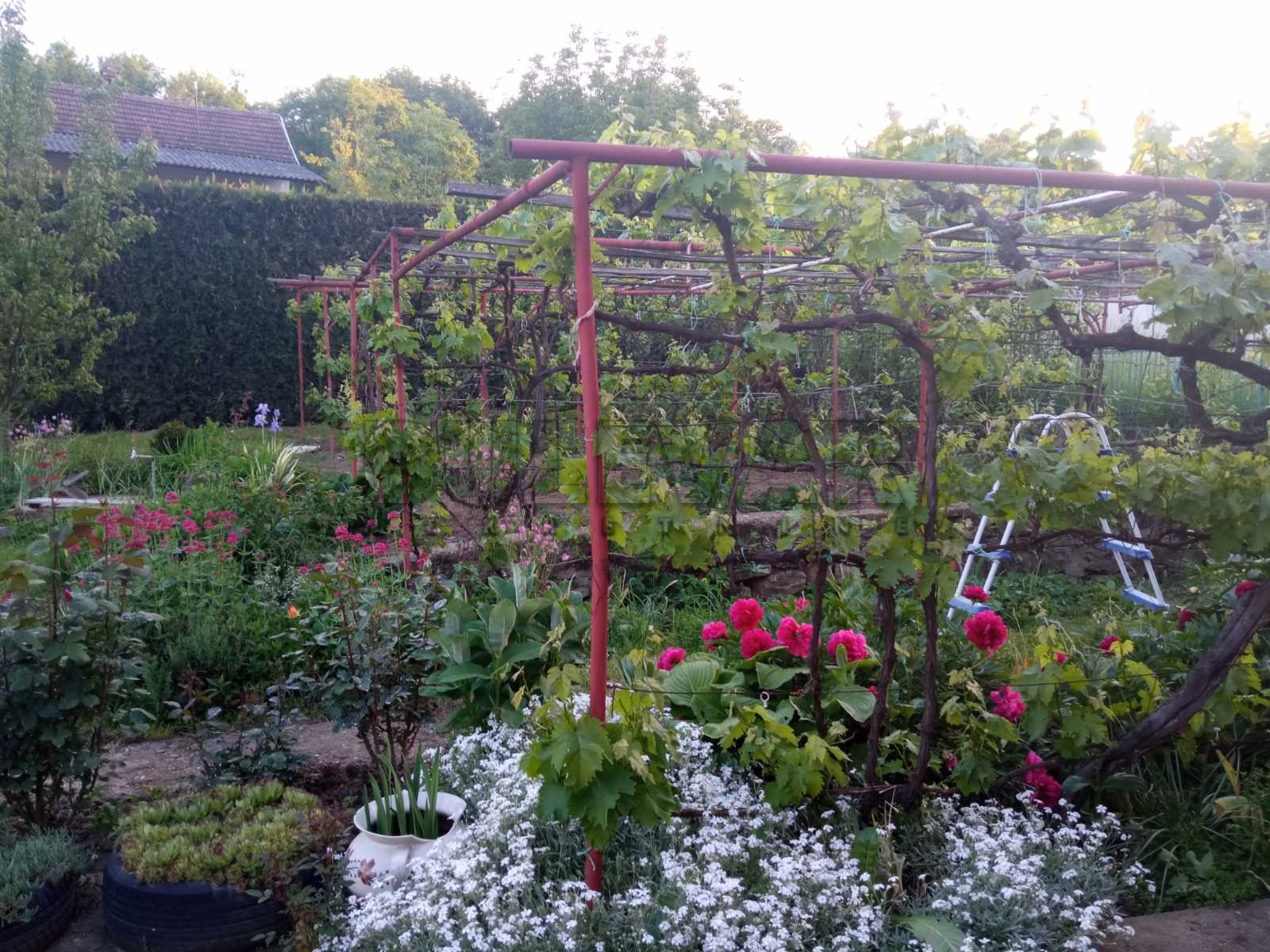 četvorosobna kuća, 680 m2, Donja Trnava, Donja Trnava ID: p-08721 9