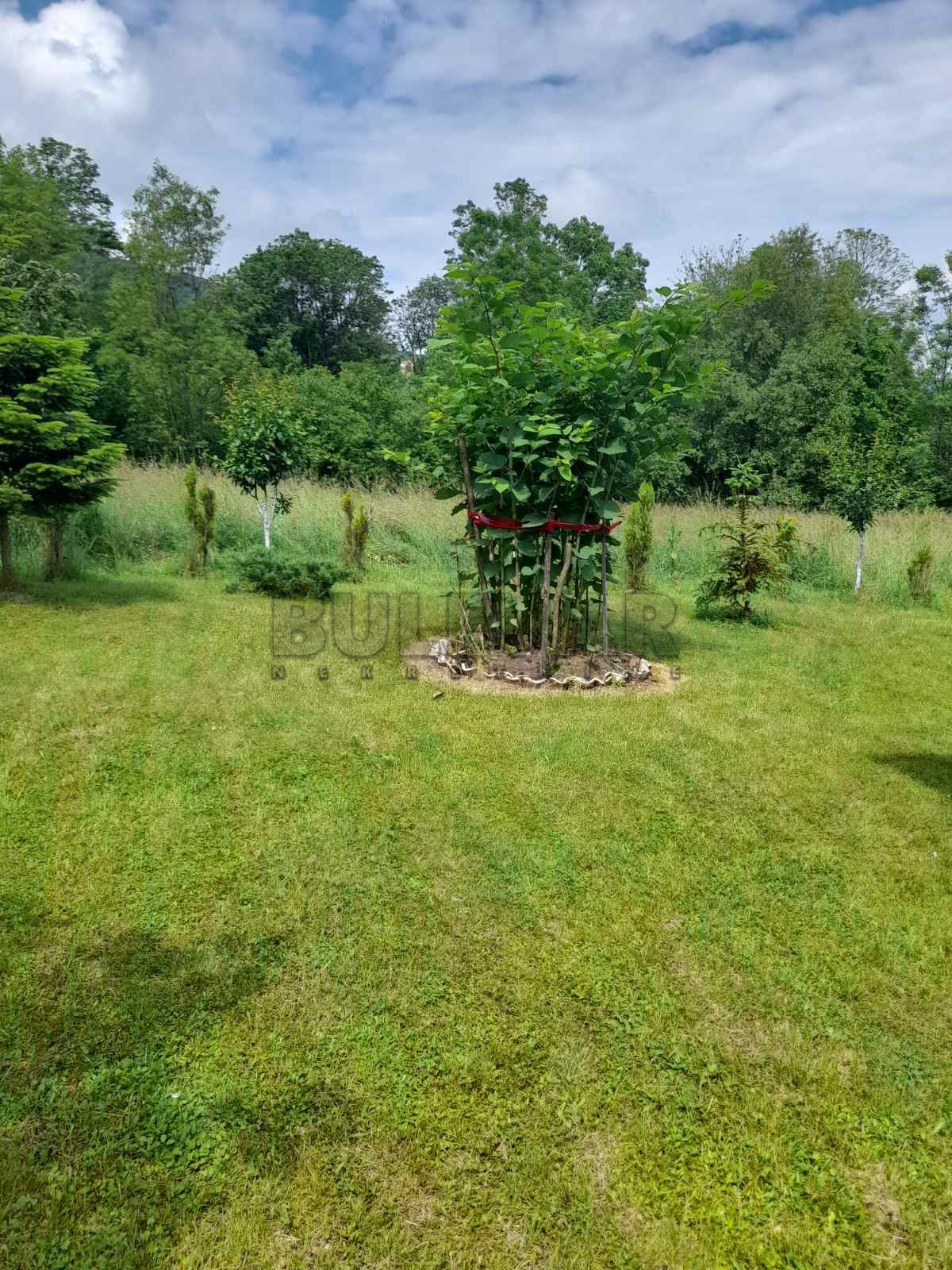 četvorosobna kuća, 80 m2, Konjuša, Konjuša ID: p-08730 13