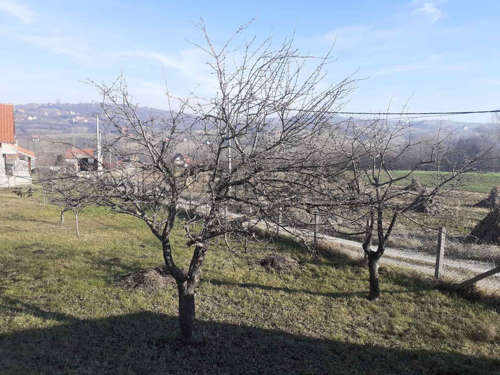 četvorosobna kuća, 86 m2, Košutnjak, Mlekarska ID: p-07700 4