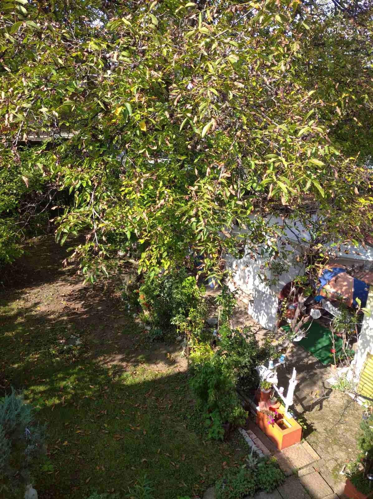 Dvosoban stan, 86 m2, Trošarina, Gabrovačka reka ID: p-06899 4