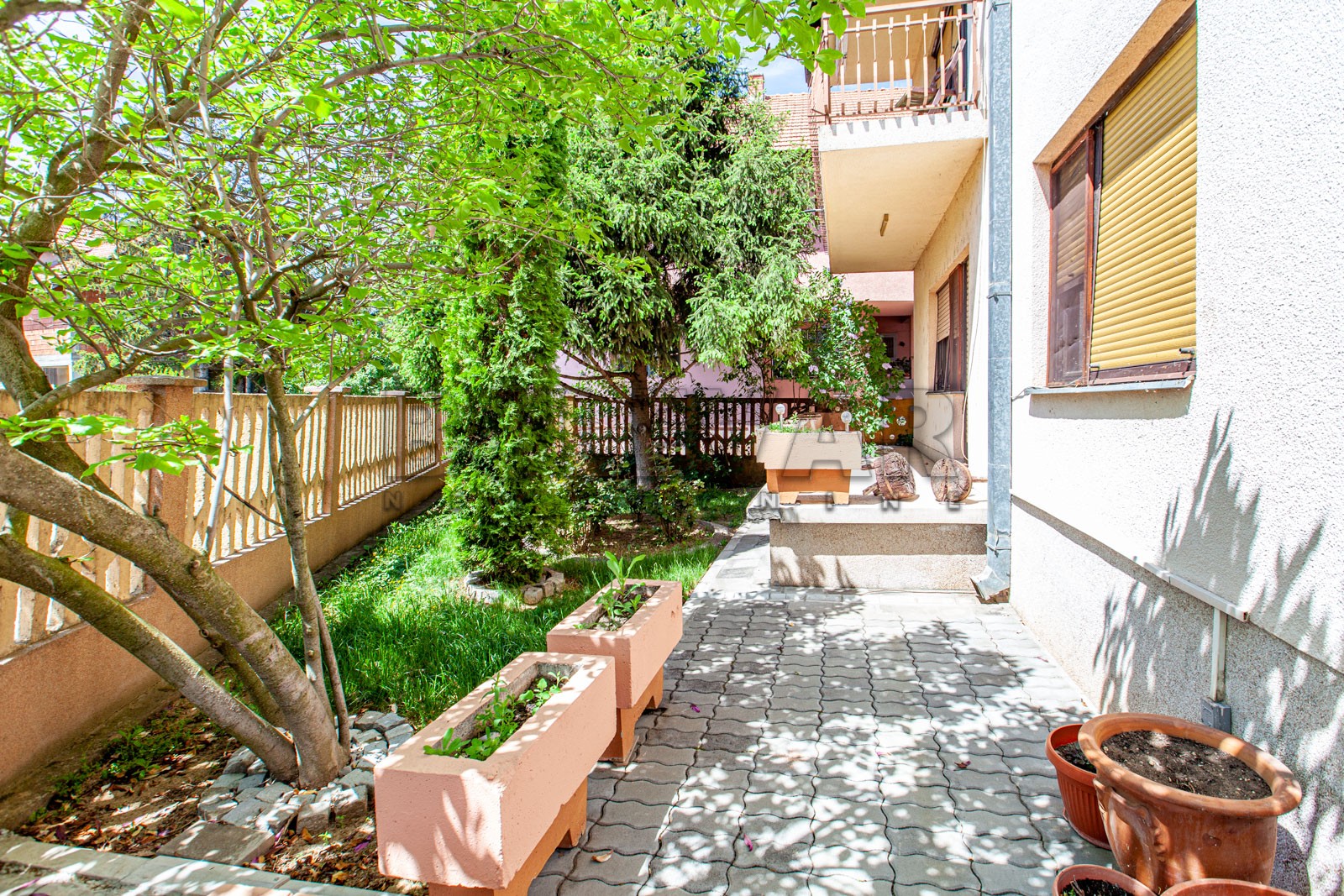 Dvosobna kuća, 390 m2, Medoševac, Medoševac ID: p-03238 3