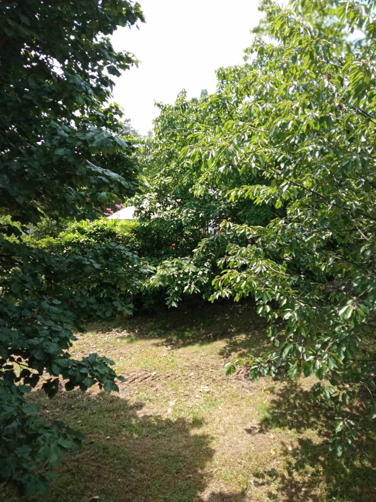 Dvosobna kuća, 45 m2, Kragujevac, Boračka ID: p-08845 10