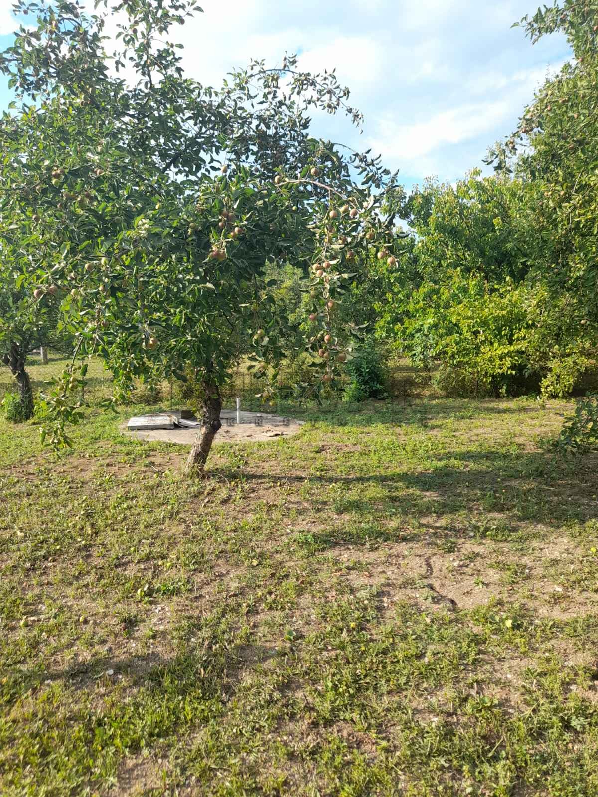 Dvosobna kuća, 56 m2, Botunje, Batočinska ID: p-05544 9