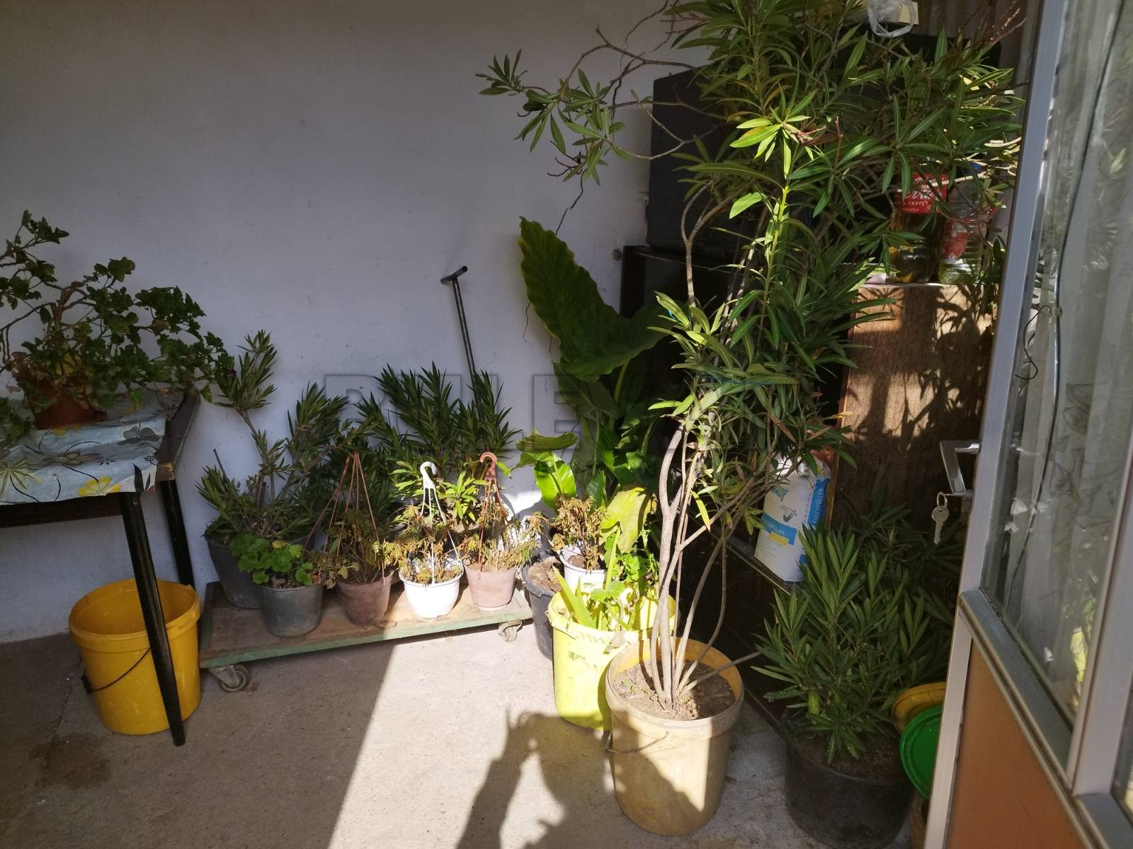 Dvosobna kuća, 57 m2, Knežica, Knežica ID: p-010826 2