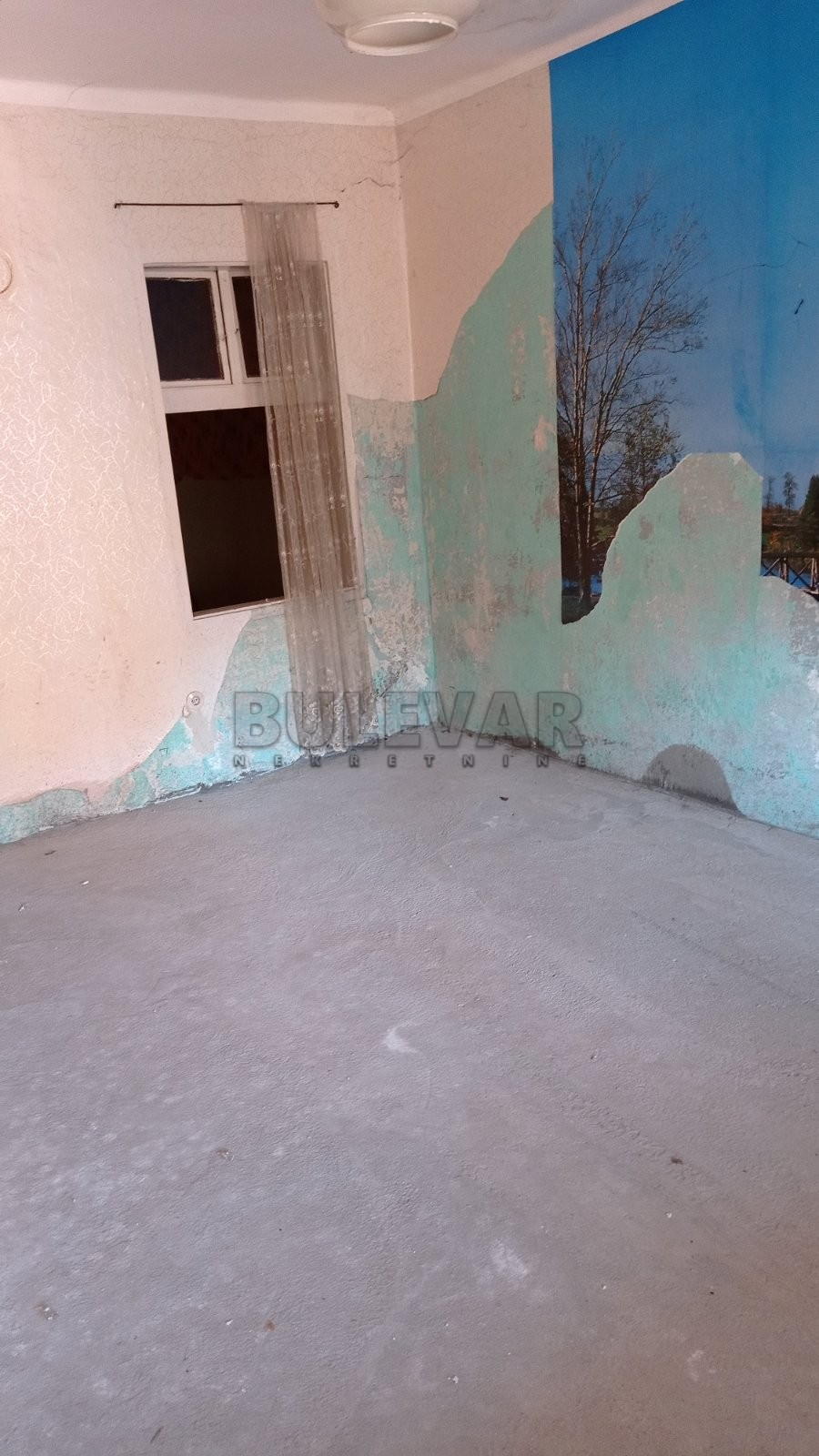 Dvosobna kuća, 70 m2, Knjaza Miloša ID: i-05637 3