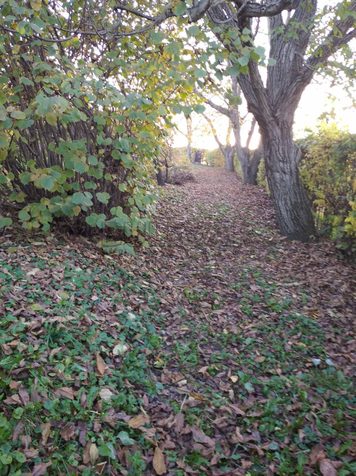 Dvosobna kuća, 72 m2, Kraljevačkog bataljona ID: p-07141 15