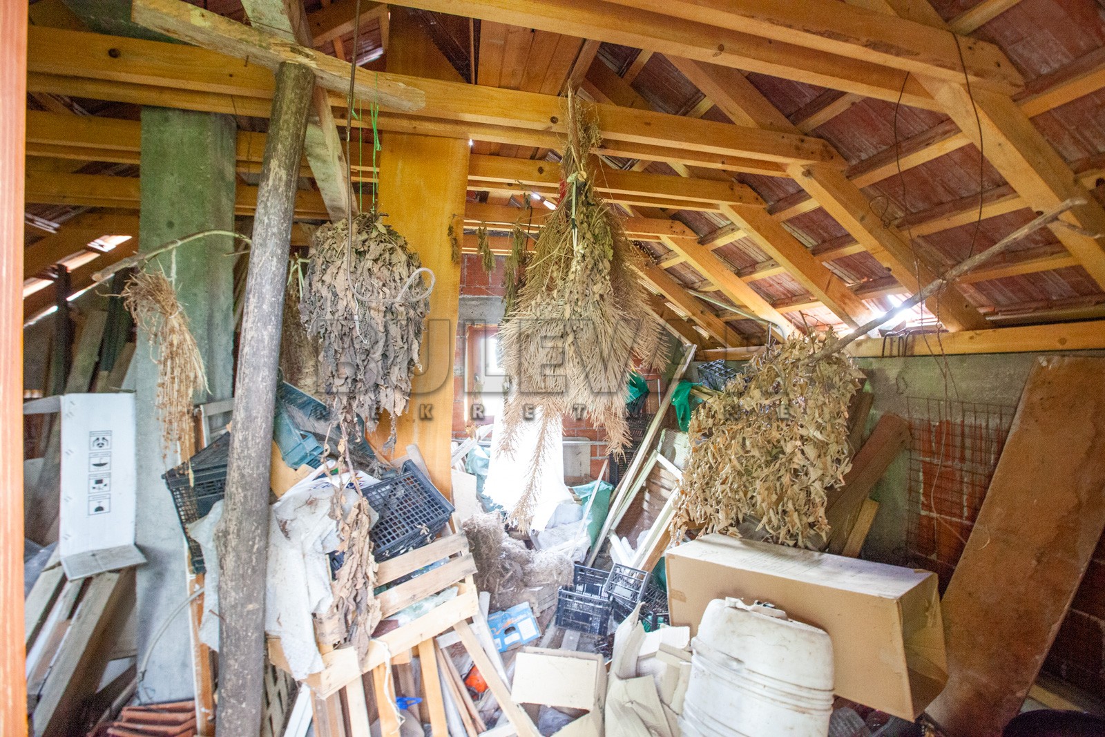 Dvosobna kuća, 80 m2, Palilula, Petra Velebita ID: p-08471 7