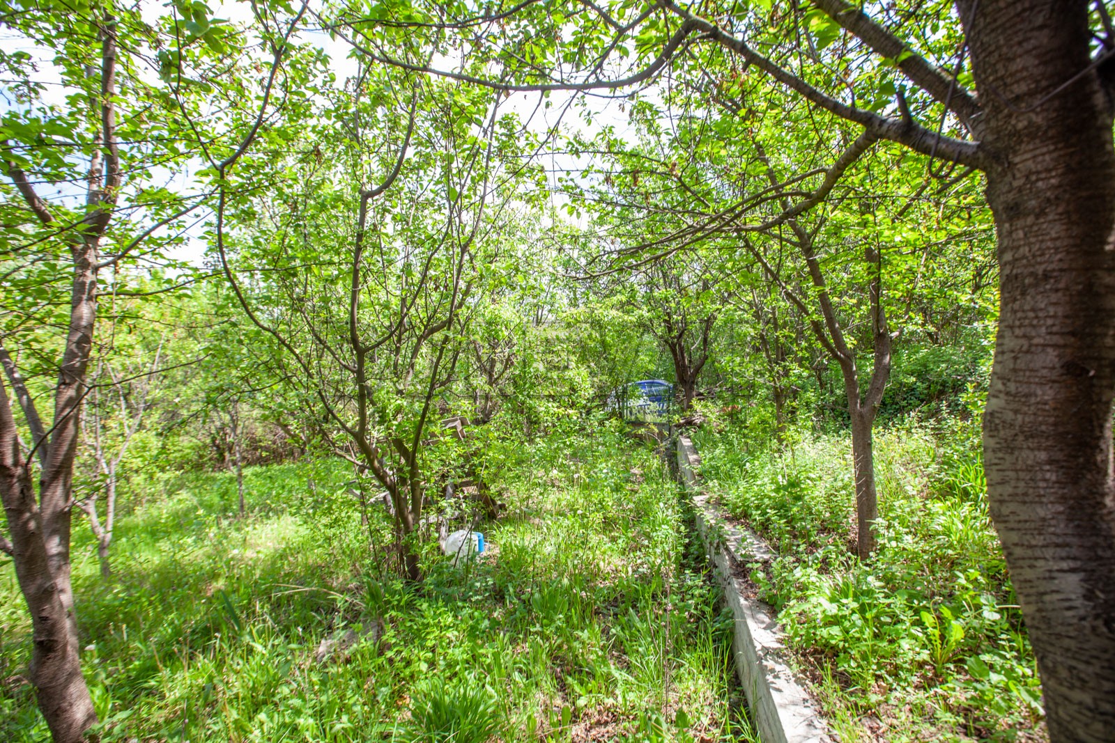 Dvosobna kuća, 80 m2, Palilula, Petra Velebita ID: p-08471 8