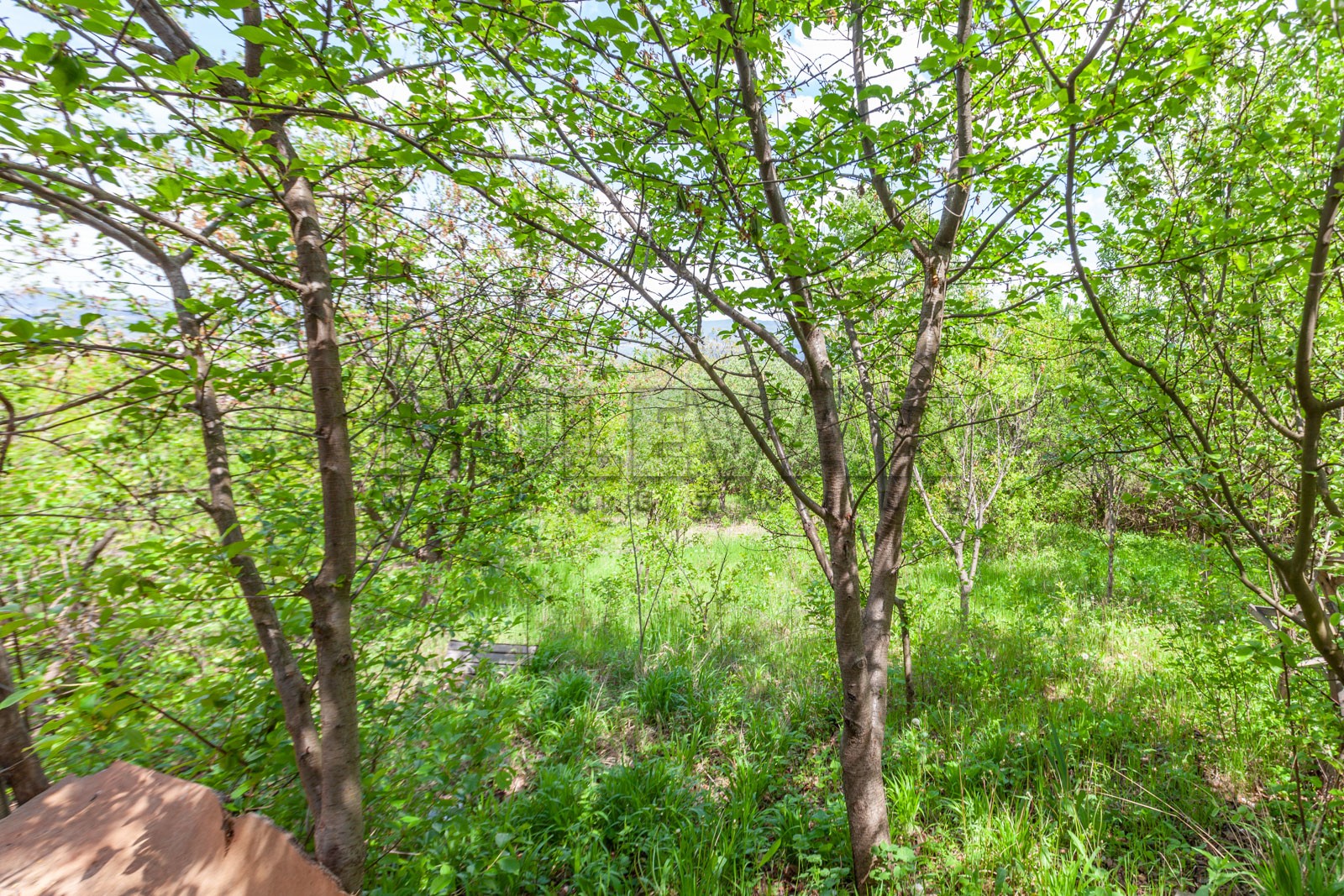 Dvosobna kuća, 80 m2, Palilula, Petra Velebita ID: p-08471 9