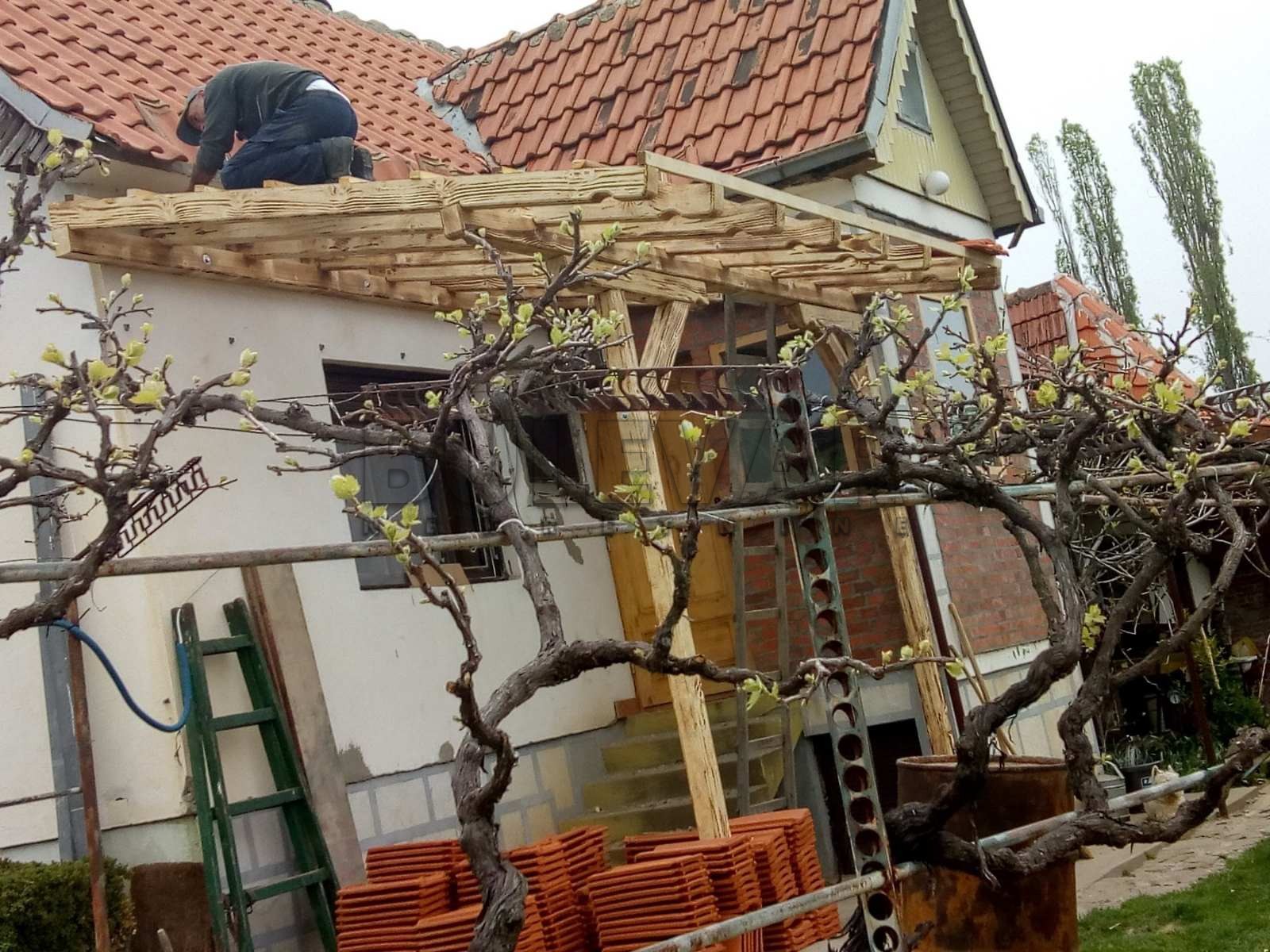 Dvosobna kuća, 80 m2, Staro Momčilovo, Staro Momčilovo ID: p-010338 23