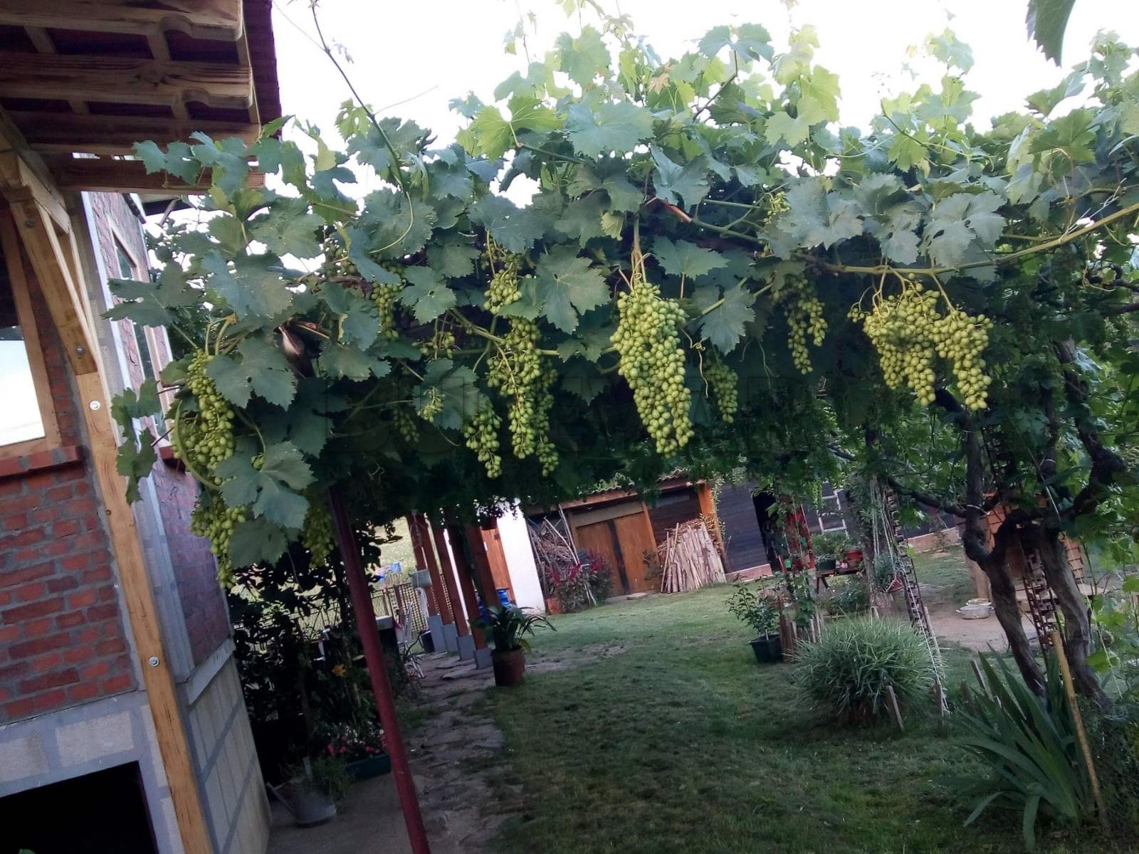 Dvosobna kuća, 80 m2, Staro Momčilovo, Staro Momčilovo ID: p-010338 27