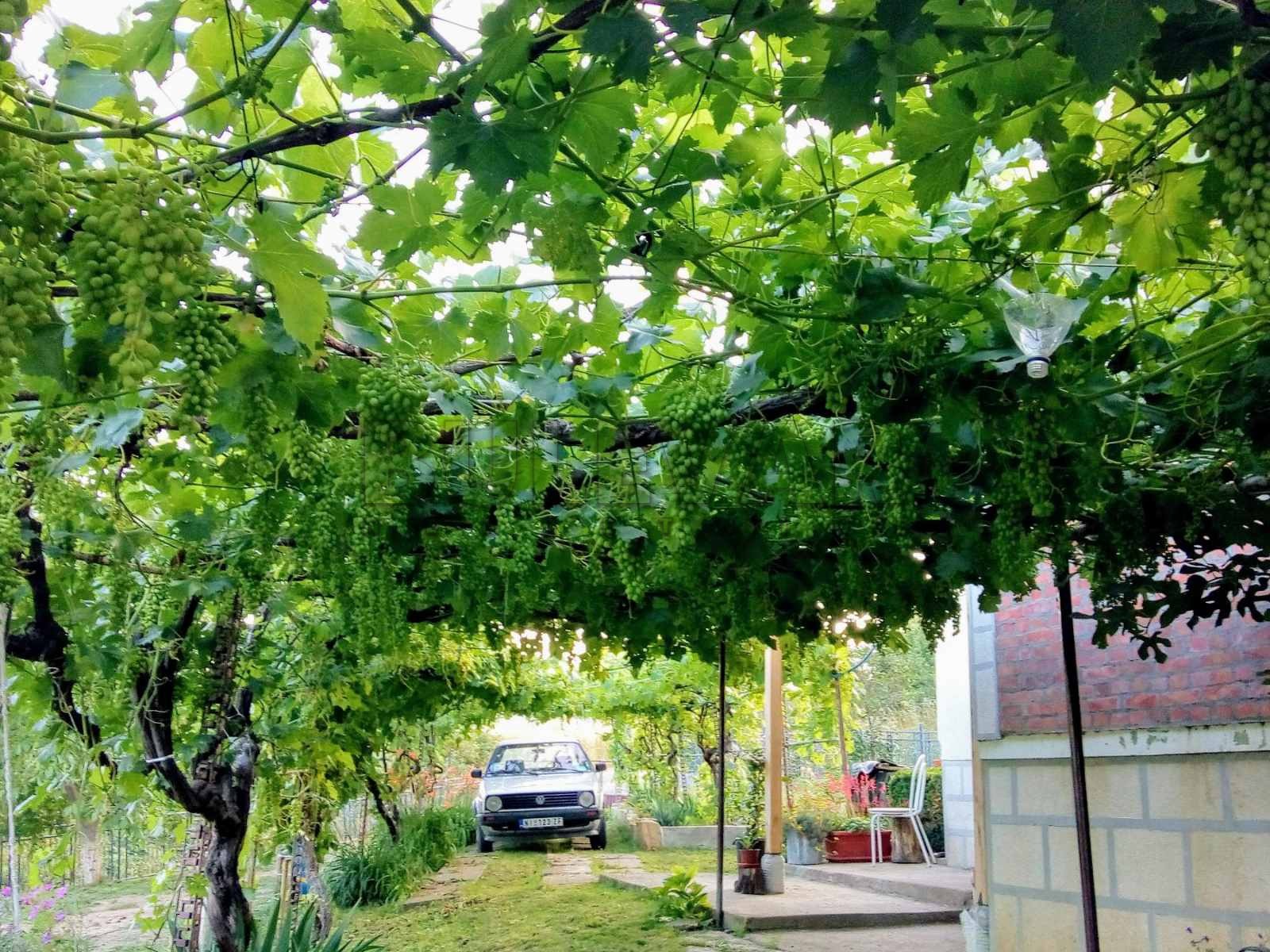 Dvosobna kuća, 80 m2, Staro Momčilovo, Staro Momčilovo ID: p-010338 10