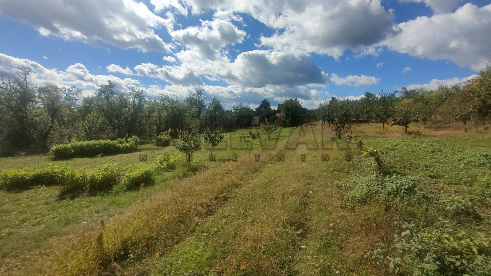 Dvosobna kuća, 80 m2, Staro Momčilovo, Staro Momčilovo ID: p-010338 7