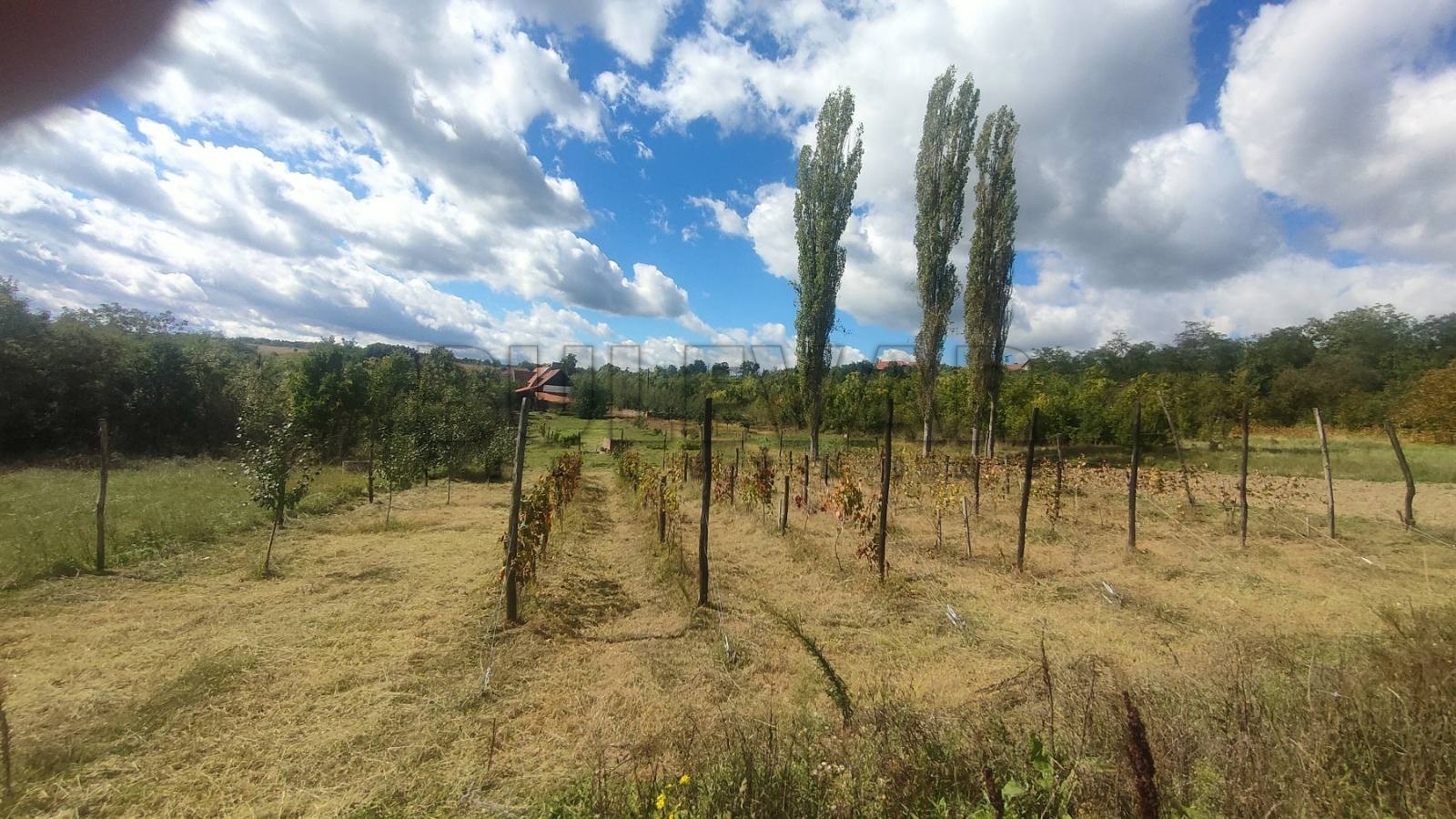 Dvosobna kuća, 80 m2, Staro Momčilovo, Staro Momčilovo ID: p-010338 31