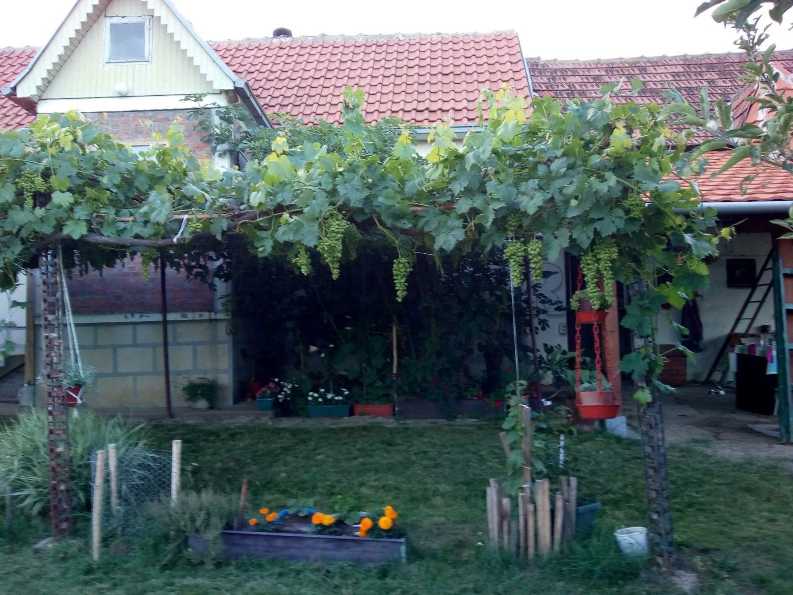 Dvosobna kuća, 80 m2, Staro Momčilovo, Staro Momčilovo ID: p-010338 32