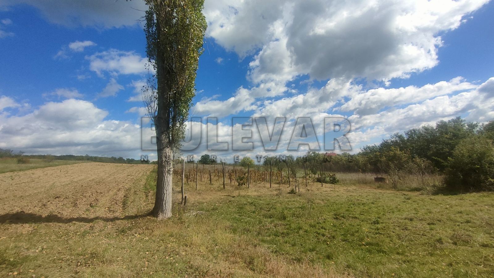 Dvosobna kuća, 80 m2, Staro Momčilovo, Staro Momčilovo ID: p-010338 18