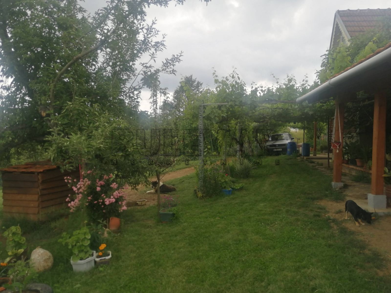 Dvosobna kuća, 80 m2, Staro Momčilovo, Staro Momčilovo ID: p-010338 19