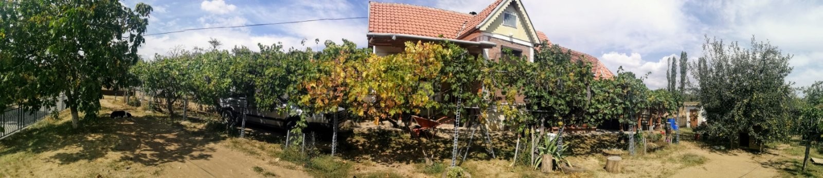 Dvosobna kuća, 80 m2, Staro Momčilovo, Staro Momčilovo ID: p-010338 4