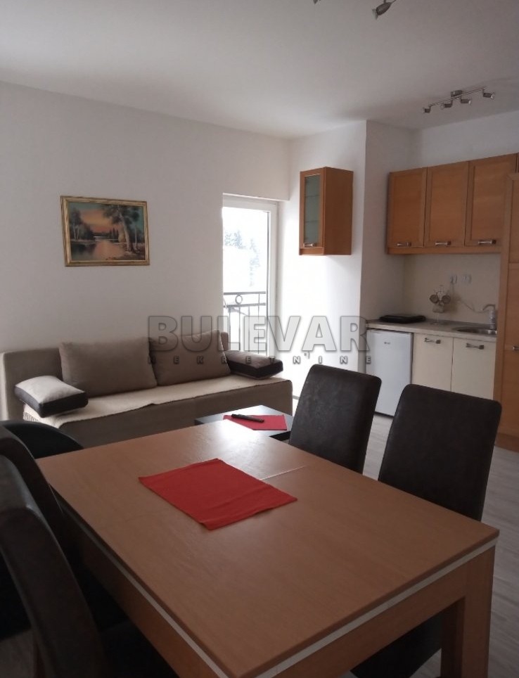 Jednosoban stan, 32 m2, Centar, Vikend naselje ID: p-06567 3