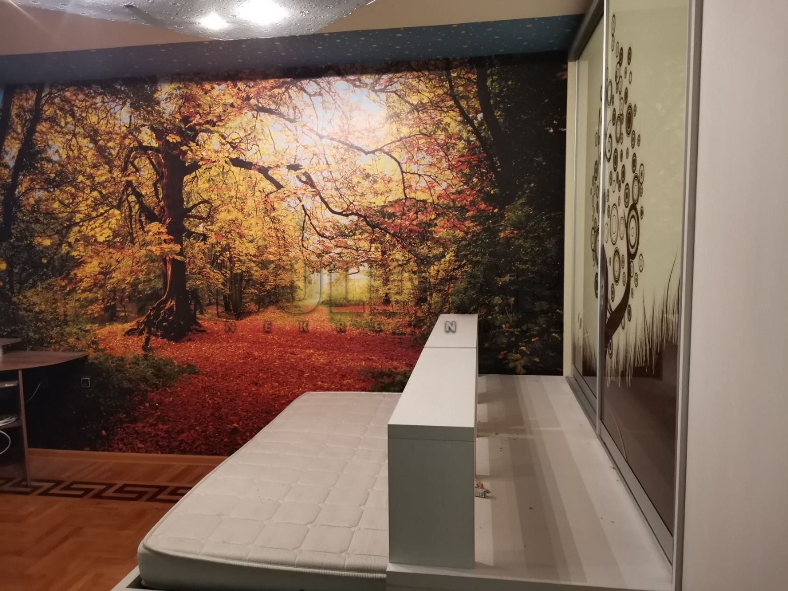 Jednosoban stan, 51 m2, Centar, Kej Kola srpskih sestara ID: i-010398 17