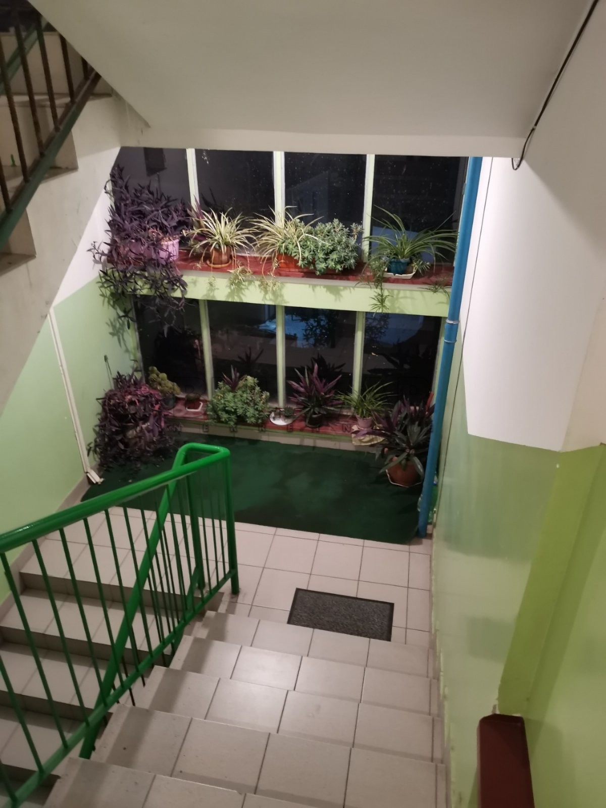 Jednosoban stan, 51 m2, Centar, Kej Kola srpskih sestara ID: i-010398 25