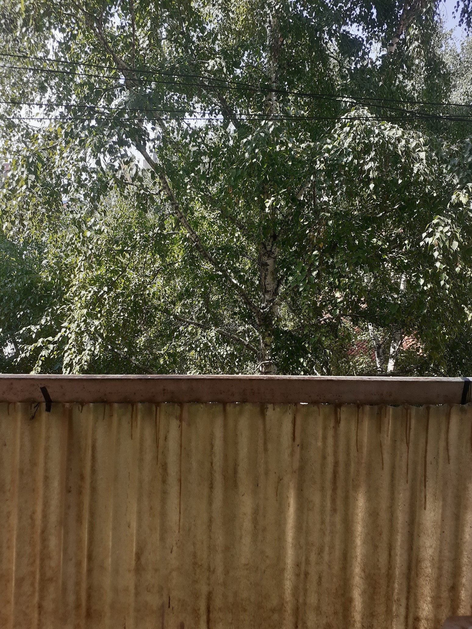 Dvosoban stan, 55 m2, Medijana, Vojvode Tankosića ID: i-03875 13