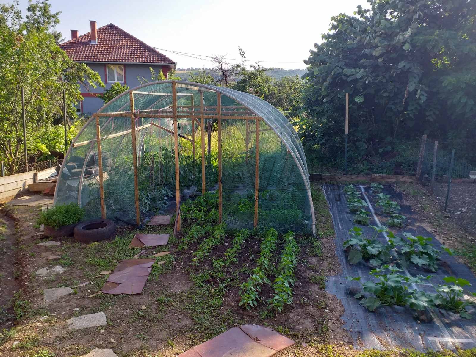 Jednosobna kuća, 31 m2, Petrovac, Internacionalnih brigada ID: p-05998 4