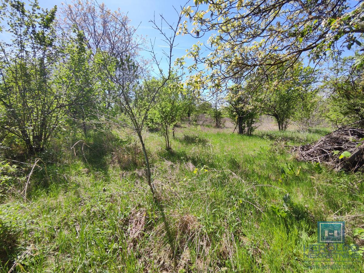 Lepa četvrtasta parcela, poljoprivredno zemljište 2