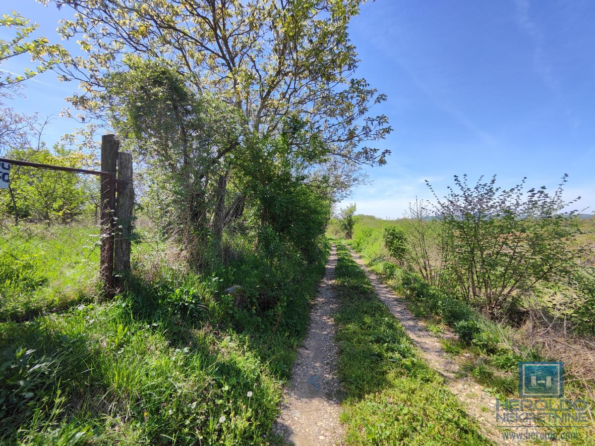 Lepa četvrtasta parcela, poljoprivredno zemljište 3