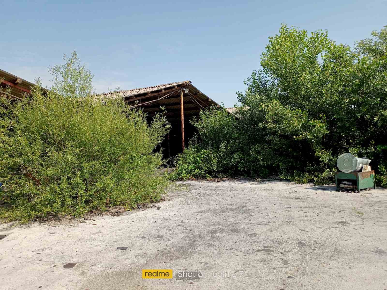 Lokal, 1179 m2, Palilula, Topličkog partizanskog odreda ID: i-09632 5