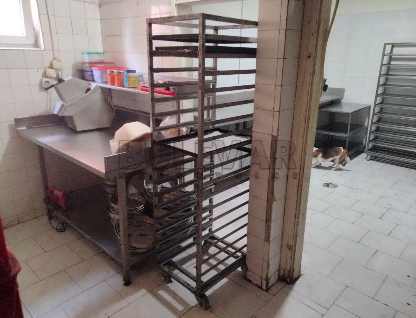 Lokal, 40 m2, Čamurlija, Đuke Dinić ID: i-010462 2