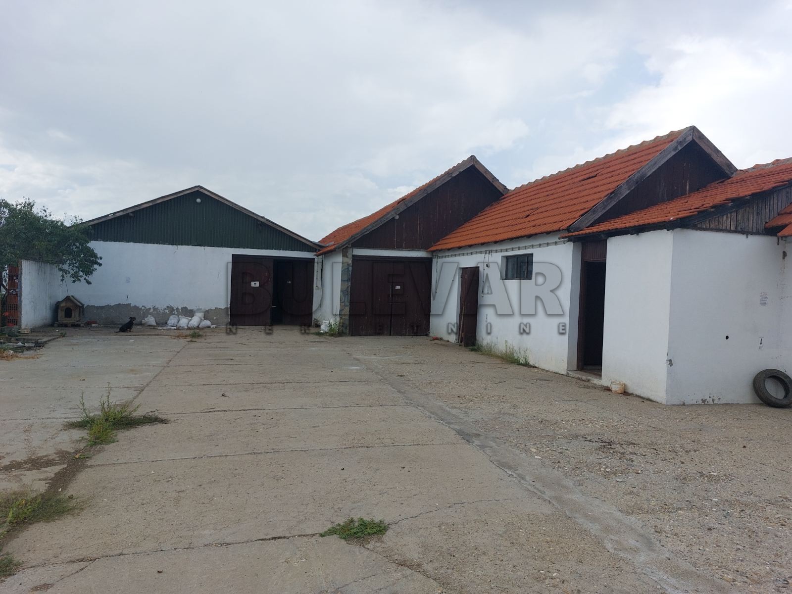 Lokal, 437 m2, Palilula, Donje Medjurovo ID: i-06714 2