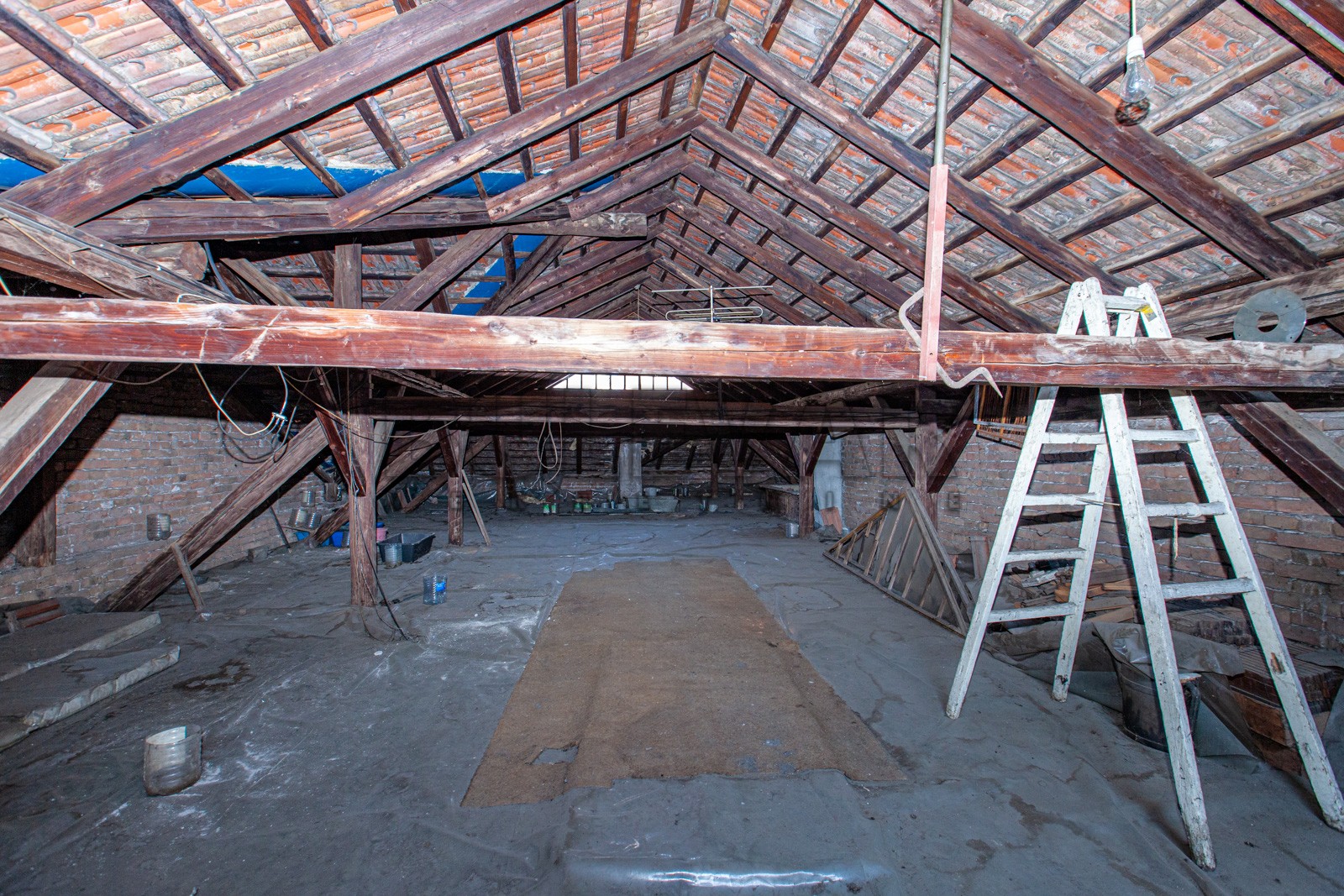 Lokal, 500 m2, Medijana, Svetozara Markovića ID: i-03643 12