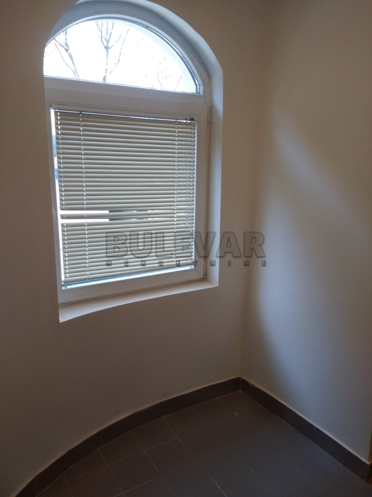 Lokal, 53 m2, Palilula, Dimitrija Tucovića ID: i-08259 2