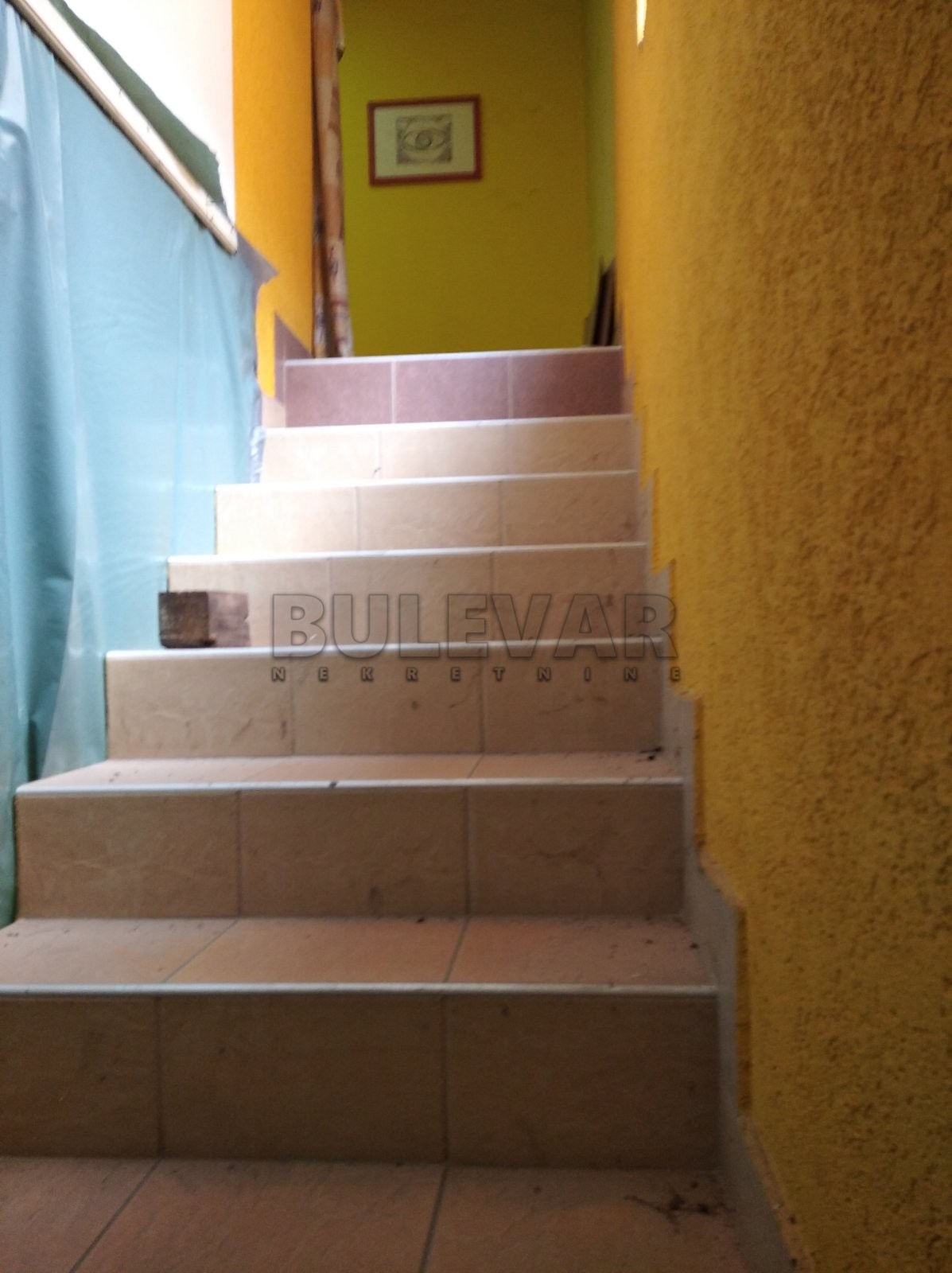 Lokal, 576 m2, Braće Petrović ID: p-08187 16