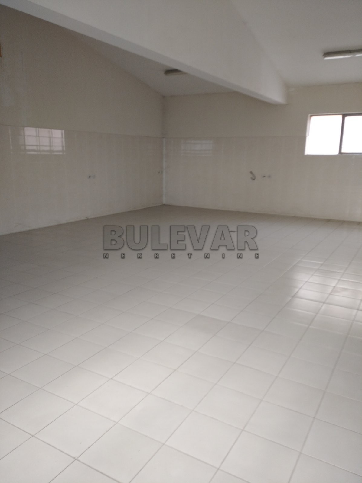 Lokal, 576 m2, Braće Petrović ID: p-08187 3