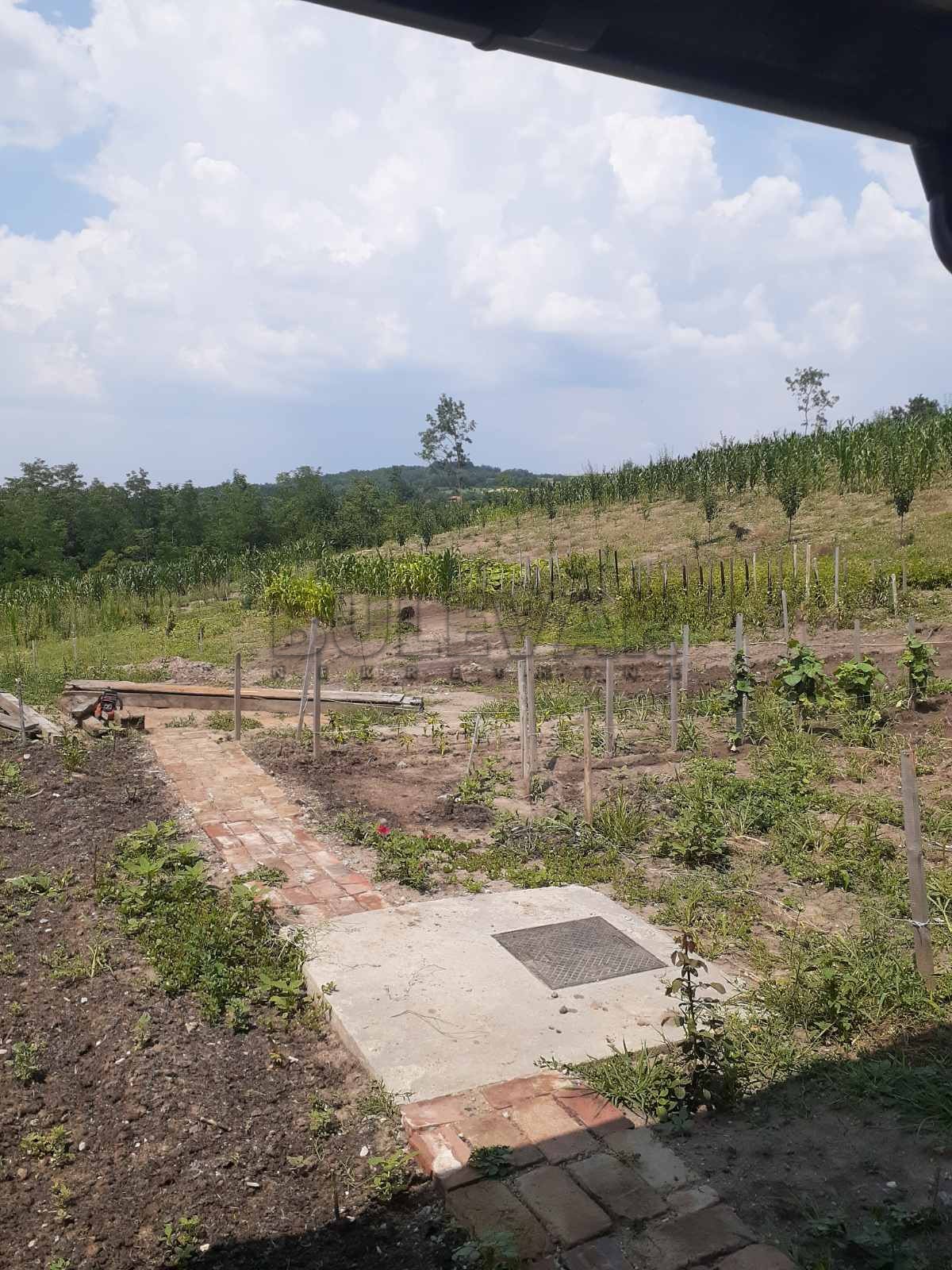 Lokal, 6000 m2, Kragujevac, Gornje Jarušice ID: p-06241 11