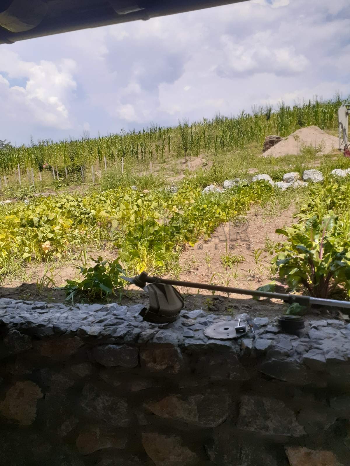 Lokal, 6000 m2, Kragujevac, Gornje Jarušice ID: p-06241 12