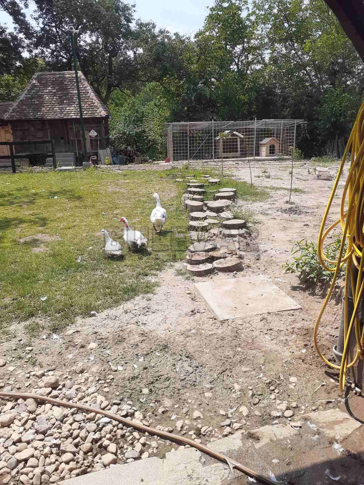 Lokal, 6000 m2, Kragujevac, Gornje Jarušice ID: p-06241 3