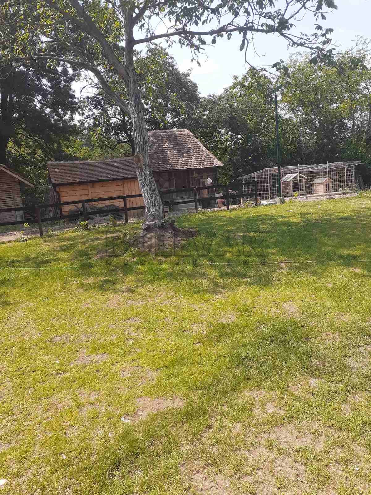 Lokal, 6000 m2, Kragujevac, Gornje Jarušice ID: p-06241 6